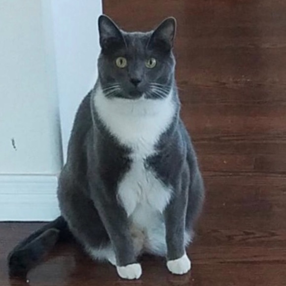 Meet your Posher, Caroline - Picture 6 of 7